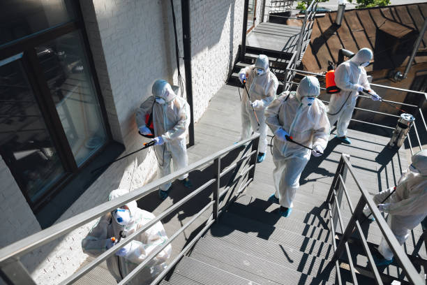 Biohazard Mold Removal in Dillonvale, OH
