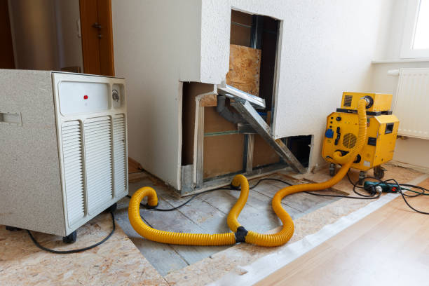 Dillonvale, OH Mold Removal Company