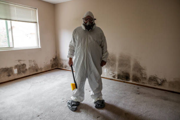 Forensic Mold Investigation in Dillonvale, OH